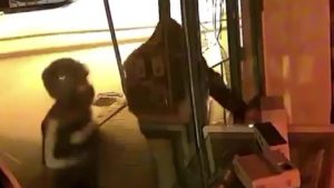 Adana’da telefoncuda parke taşlı soygun