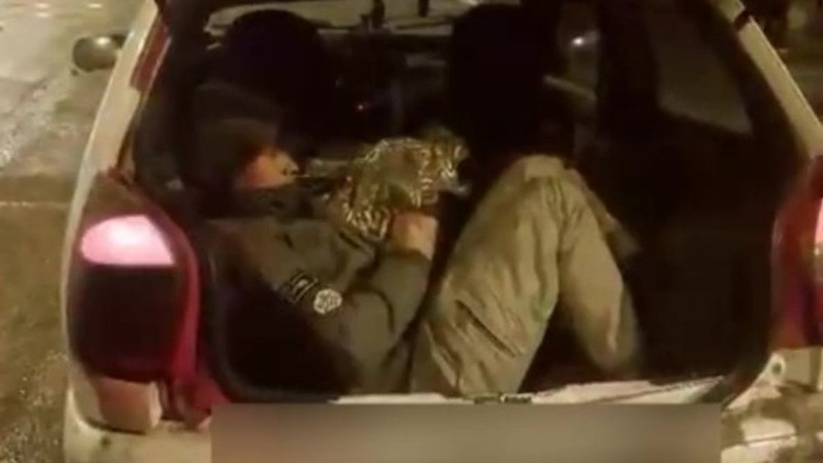 Amasya’da durdurulan araçtan 5 kaçak göçmen çıktı