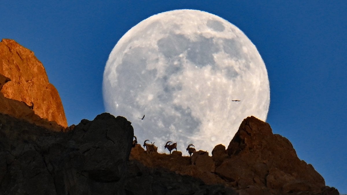 Anadolu Ajansı’nın ‘Yılın Kareleri’ oylaması başladı