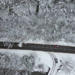 Bartın’da ağaçlı yolun büyüleyen manzarası