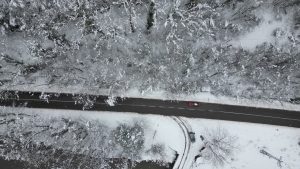 Bartın’da ağaçlı yolun büyüleyen manzarası