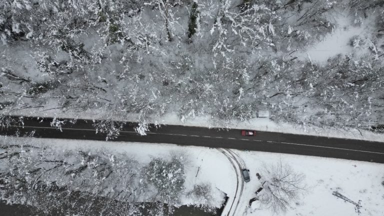 Bartın’da ağaçlı yolun büyüleyen manzarası