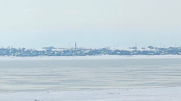 Bitlis kuş cenneti Arin Gölü dondu