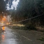 Buca Belediyesi ekiplerinin fırtına ve yağış mesaisi