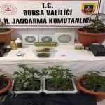 Bursa’da evini uyuşturucu serasına çevirdi
