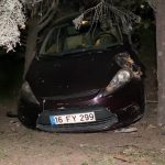 Bursa’da kaza sonrası panikle bahçeye uçtu