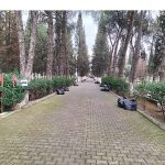 Büyükşehir Belediyesi Öncülüğünde Mezarlıklarda Yoğun Çalışma