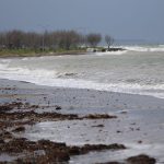 Çanakkale Boğazı transit gemi geçişlerine kapatıldı