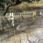 Çeşme’yi sağanak vurdu: Pazaryeri su altında kaldı