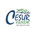 Cesur Kulaçlar projesinin 3. dönemi tamamlandı