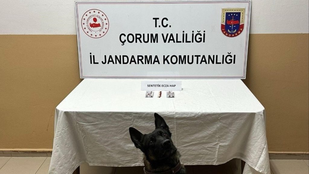 Çorum’da uyuşturucu hapla yakalanan 3 kişi gözaltına alındı