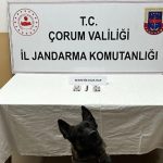 Çorum’da uyuşturucu hapla yakalanan 3 kişi gözaltına alındı