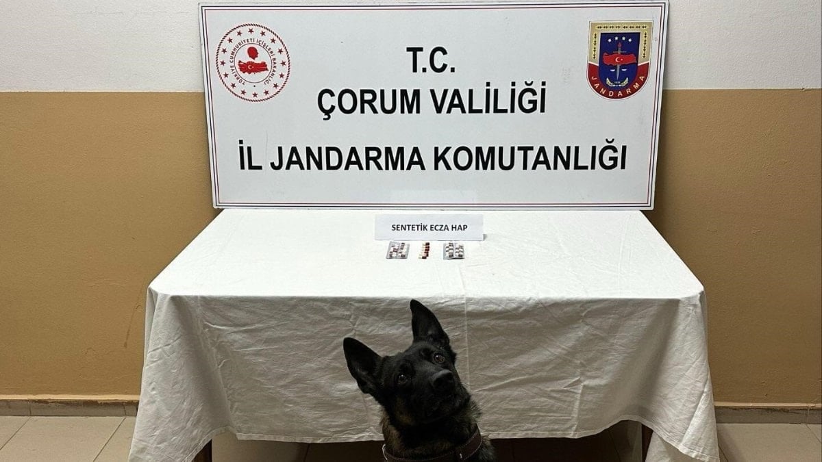 Çorum’da uyuşturucu hapla yakalanan 3 kişi gözaltına alındı