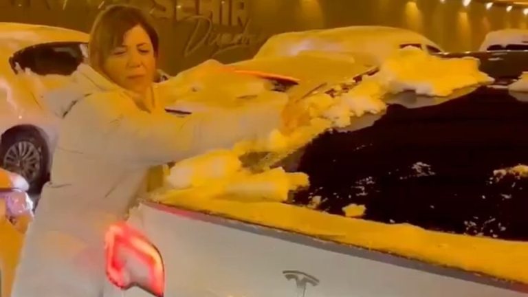 DEM Partili Meral Danış Beştaş, elektrikli araç kullanmaya başladı