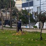 Didim Belediyesi Ekiplerinden İlçe Genelinde Yoğun Mesai