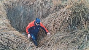 Diyarbakır’da kaybolan kadından haber yok