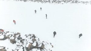 Diyarbakır’da kaybolan kadından iz yok