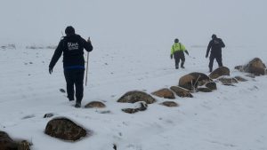 Diyarbakır’da kayıp kadın için umutlu bekleyiş