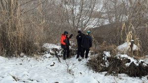 Diyarbakır’da kayıp kadını arama çalışmaları sürüyor