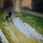 Diyarbakır’da kayıp kadının son görüntüsü ortaya çıktı