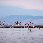Doğa, kültür ve lezzet tutkunları yarıyıl tatilinde bu turlarda buluşacak