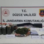 Düzce’de evinin çatısında kenevir bahçesi kurdu
