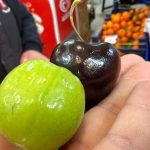 Düzce’de hamileler için Singapur’dan özel meyve getiriliyor