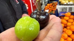 Düzce’de hamileler için Singapur’dan özel meyve getiriliyor