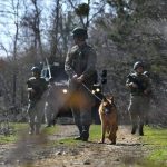 Edirne sınır hattında bir yılda 330 FETÖ zanlısı yakalandı