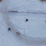 Elazığ’da doğa çekimi yaparken köpekler saldırdı