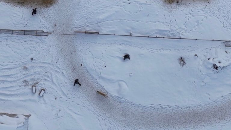 Elazığ’da doğa çekimi yaparken köpekler saldırdı