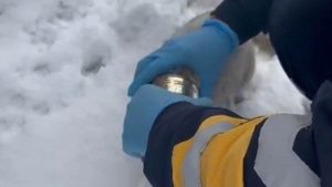 Elazığ’da kediyi, başına sıkışan konserve tenekesinden sağlıkçılar kurtardı