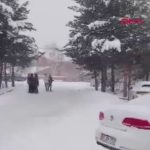 Erzurum’da kurt köpeği okul bahçesine girdi: 3 öğrenci yaralı