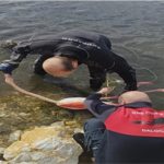 Flamingoya hayat veren kurtarma operasyonu