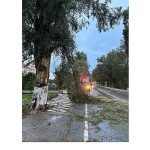 Foça Belediyesi Ekipleri Fırtına ve Yağışa Karşı Teyakkuzda