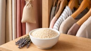 Gardıroba bir kase pirinç koyanlar sonucuna inanamıyor!