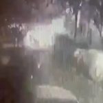 Gaziosmanpaşa’da aynı apartmana ikinci patlayıcı saldırısı