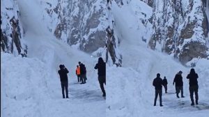 Hakkari’de çığ düştü