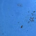 Hatay’da alışveriş merkezinde mide bulandıran görüntüler