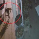 Hatay’da kablo hırsızları kameraya yakalandı