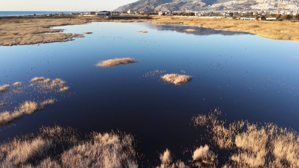 Hatay’da Milleyha Kuş Cenneti yağışlarla yeniden doldu