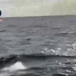 İspanya’da uyuşturucu operasyonu: İstanbul’da 10 tutuklama