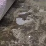 İstanbul’da sağanak yağış sonrası iki daireyi su bastı: Bina tahliye edildi