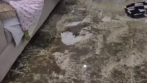 İstanbul’da sağanak yağış sonrası iki daireyi su bastı: Bina tahliye edildi