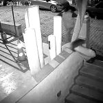 İstanbul’da temiz halılar hırsızların eline geçti