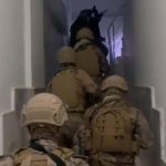 İzmir’de insan ticareti operasyonu: 4 tutuklama