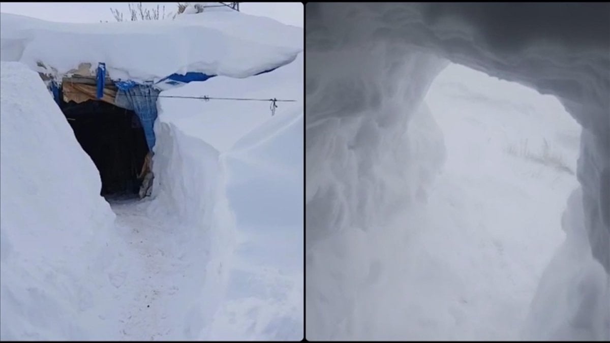 Kars’ta kar altında yaşam: Evlerine tünel kazarak ulaşıyorlar