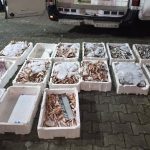 Kastamonu’da kaçak avlanan 1,5 ton balığa el konuldu