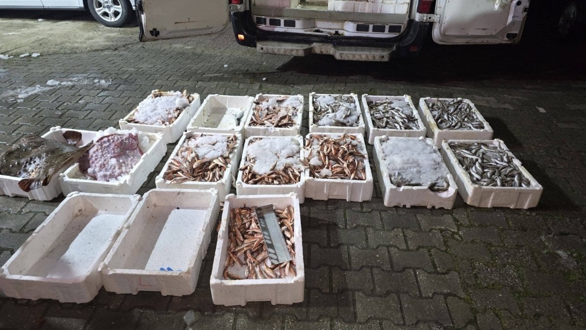 Kastamonu’da kaçak avlanan 1,5 ton balığa el konuldu