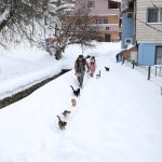 Kastamonu’da kar altındaki köyde merhamet hikâyesi: İmam kedileri aç bırakmıyor